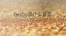 bestia是什么意思 bestia的翻译、读音、例句、中文解释