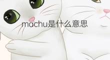 machu是什么意思 machu的中文翻译、读音、例句