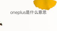 oneplus是什么意思 oneplus的翻译、读音、例句、中文解释
