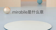 mirabile是什么意思 mirabile的中文翻译、读音、例句