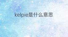 kelpie是什么意思 英文名kelpie的翻译、发音、来源
