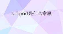 subpart是什么意思 subpart的中文翻译、读音、例句