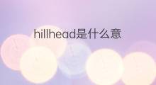 hillhead是什么意思 hillhead的中文翻译、读音、例句