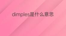 dimples是什么意思 dimples的中文翻译、读音、例句