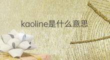 kaoline是什么意思 kaoline的中文翻译、读音、例句