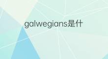 galwegians是什么意思 galwegians的中文翻译、读音、例句
