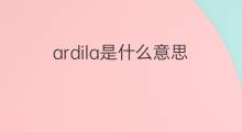 ardila是什么意思 ardila的中文翻译、读音、例句