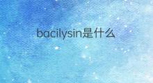 bacilysin是什么意思 bacilysin的中文翻译、读音、例句