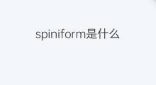 spiniform是什么意思 spiniform的中文翻译、读音、例句