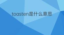 toasten是什么意思 toasten的中文翻译、读音、例句