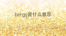 bergy是什么意思 bergy的中文翻译、读音、例句