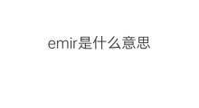 emir是什么意思 emir的中文翻译、读音、例句