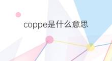 coppe是什么意思 coppe的中文翻译、读音、例句