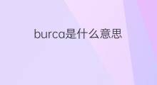 burca是什么意思 英文名burca的翻译、发音、来源