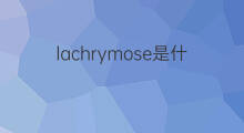 lachrymose是什么意思 lachrymose的中文翻译、读音、例句