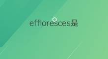 effloresces是什么意思 effloresces的翻译、读音、例句、中文解释