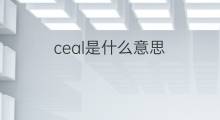 ceal是什么意思 ceal的中文翻译、读音、例句