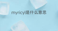 myricyl是什么意思 myricyl的中文翻译、读音、例句
