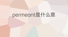permeant是什么意思 permeant的翻译、读音、例句、中文解释