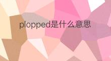 plopped是什么意思 plopped的中文翻译、读音、例句