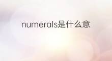 numerals是什么意思 numerals的翻译、读音、例句、中文解释