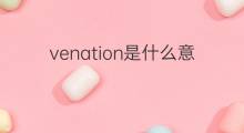 venation是什么意思 venation的中文翻译、读音、例句