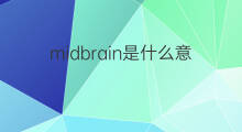 midbrain是什么意思 midbrain的中文翻译、读音、例句