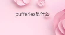 pufferies是什么意思 pufferies的中文翻译、读音、例句