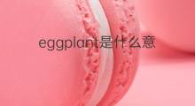 eggplant是什么意思 eggplant的中文翻译、读音、例句