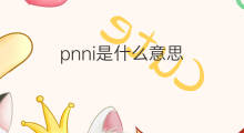 pnni是什么意思 pnni的翻译、读音、例句、中文解释