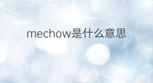 mechow是什么意思 mechow的中文翻译、读音、例句