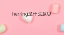 herring是什么意思 herring的翻译、读音、例句、中文解释