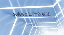 soloed是什么意思 soloed的中文翻译、读音、例句