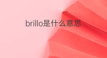 brillo是什么意思 brillo的中文翻译、读音、例句
