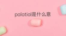 palatial是什么意思 palatial的中文翻译、读音、例句