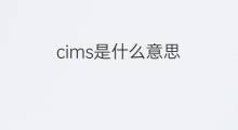 cims是什么意思 cims的中文翻译、读音、例句