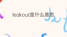 leakout是什么意思 leakout的中文翻译、读音、例句