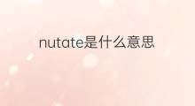 nutate是什么意思 nutate的中文翻译、读音、例句