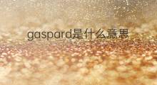 gaspard是什么意思 gaspard的中文翻译、读音、例句