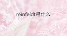 reinfeldt是什么意思 reinfeldt的中文翻译、读音、例句