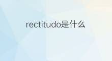 rectitudo是什么意思 rectitudo的中文翻译、读音、例句