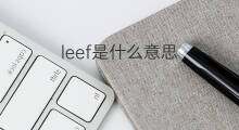 leef是什么意思 leef的中文翻译、读音、例句