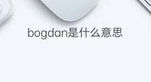 bogdan是什么意思 bogdan的中文翻译、读音、例句