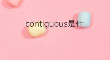 contiguous是什么意思 contiguous的中文翻译、读音、例句