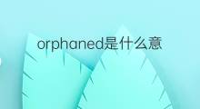 orphaned是什么意思 orphaned的中文翻译、读音、例句