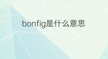 bonfig是什么意思 bonfig的中文翻译、读音、例句
