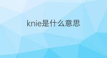 knie是什么意思 knie的中文翻译、读音、例句