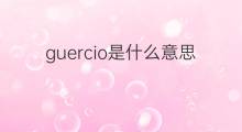 guercio是什么意思 guercio的中文翻译、读音、例句