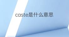caste是什么意思 caste的中文翻译、读音、例句