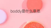 boddy是什么意思 英文名boddy的翻译、发音、来源
